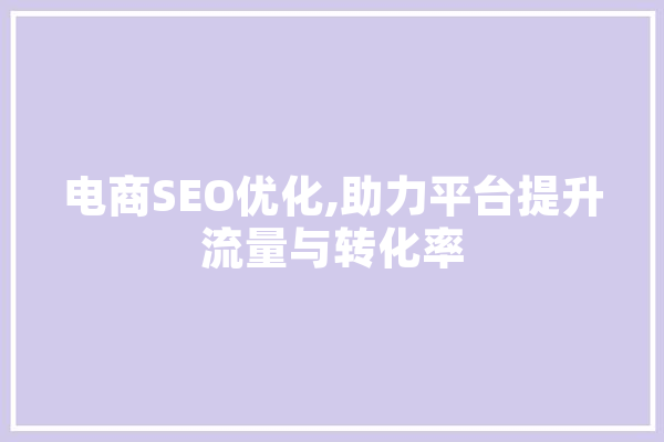 电商SEO优化,助力平台提升流量与转化率 计算机