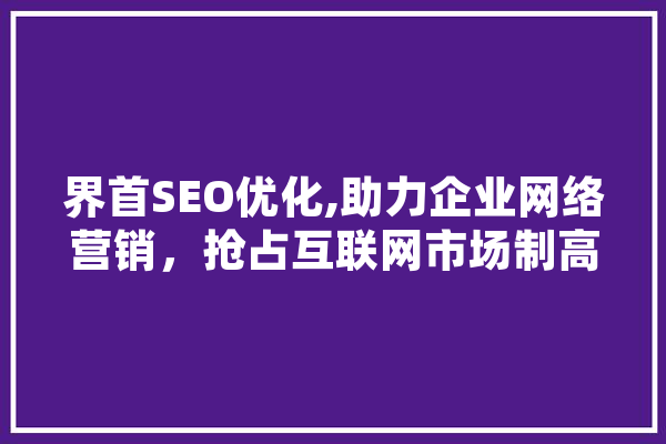 界首SEO优化,助力企业网络营销，抢占互联网市场制高点 文字写作