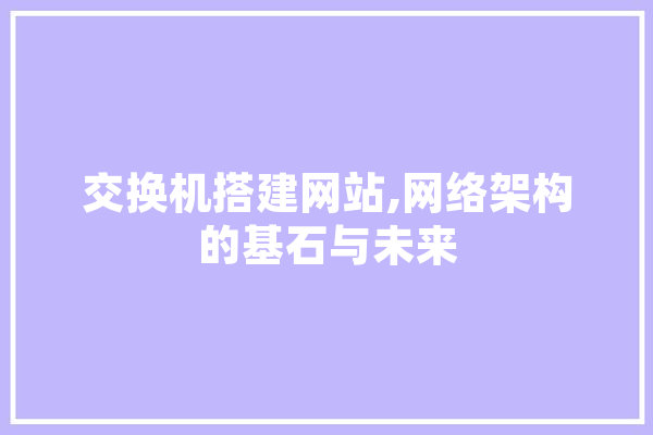 交换机搭建网站,网络架构的基石与未来