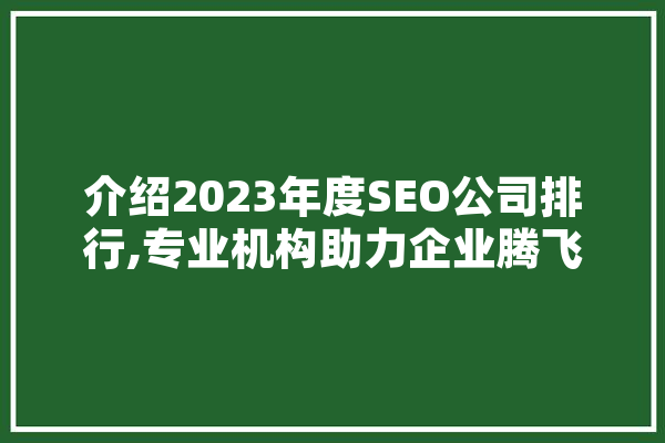 介绍2023年度SEO公司排行,专业机构助力企业腾飞 文字写作