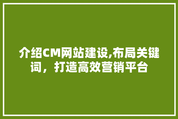 介绍CM网站建设,布局关键词，打造高效营销平台 科技快讯