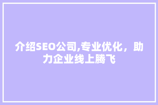介绍SEO公司,专业优化，助力企业线上腾飞 计算机