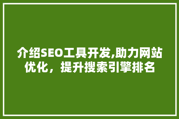 介绍SEO工具开发,助力网站优化，提升搜索引擎排名 文字写作