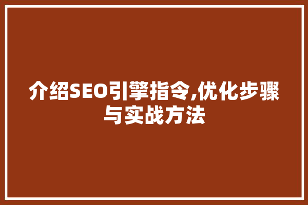 介绍SEO引擎指令,优化步骤与实战方法 计算机