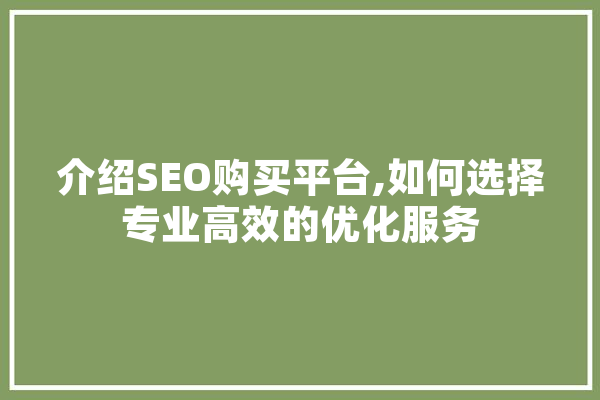 介绍SEO购买平台,如何选择专业高效的优化服务