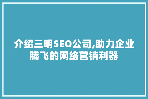 介绍三明SEO公司,助力企业腾飞的网络营销利器
