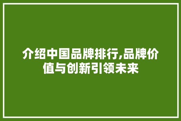 介绍中国品牌排行,品牌价值与创新引领未来 智能写作