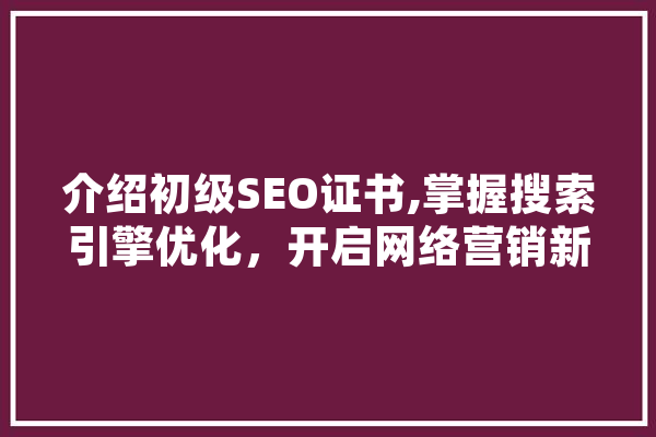 介绍初级SEO证书,掌握搜索引擎优化，开启网络营销新篇章