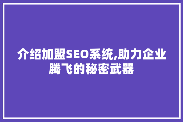 介绍加盟SEO系统,助力企业腾飞的秘密武器 绘影字幕