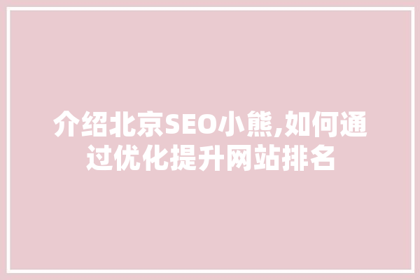 介绍北京SEO小熊,如何通过优化提升网站排名 云服务
