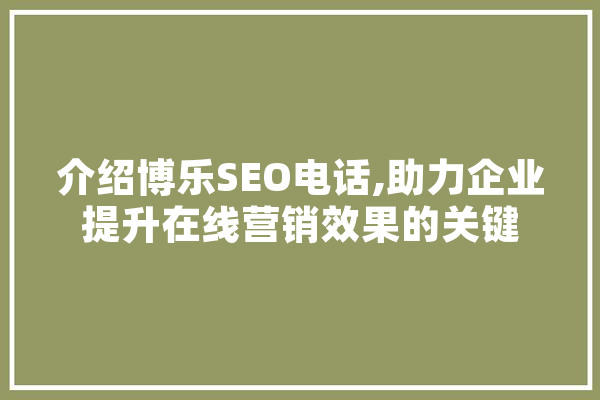 介绍博乐SEO电话,助力企业提升在线营销效果的关键 计算机