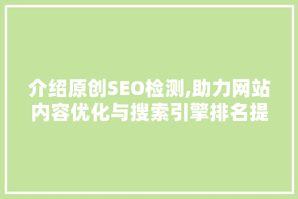 介绍原创SEO检测,助力网站内容优化与搜索引擎排名提升