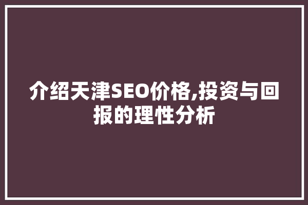 介绍天津SEO价格,投资与回报的理性分析 绘影字幕