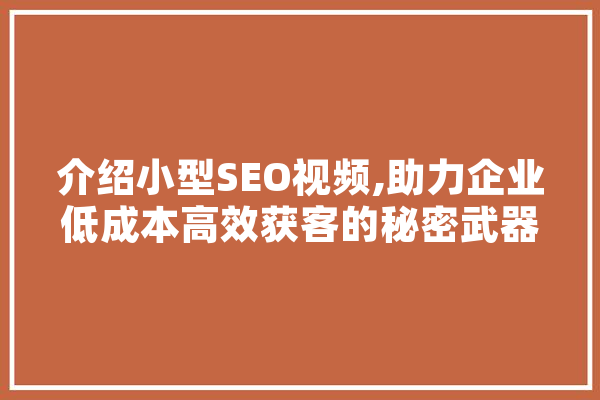 介绍小型SEO视频,助力企业低成本高效获客的秘密武器 AI快讯