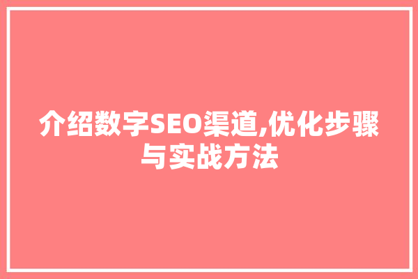 介绍数字SEO渠道,优化步骤与实战方法 计算机