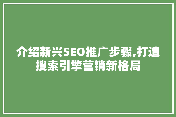 介绍新兴SEO推广步骤,打造搜索引擎营销新格局