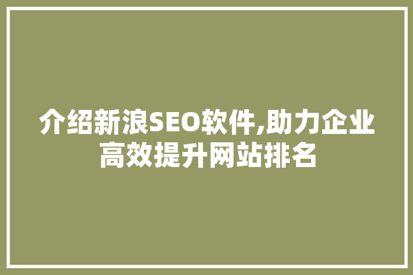 介绍新浪SEO软件,助力企业高效提升网站排名