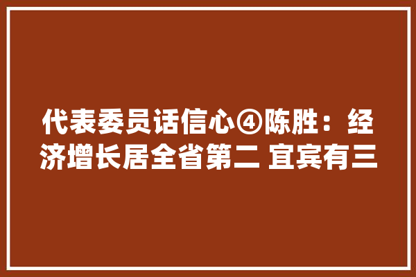 代表委员话信心④陈胜：经济增长居全省第二 宜宾有三个“窍门”_宜宾_家当