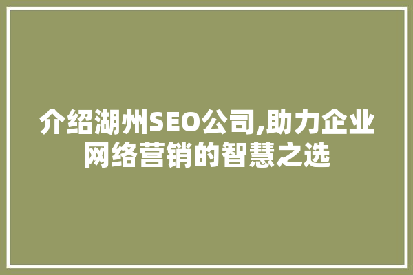 介绍湖州SEO公司,助力企业网络营销的智慧之选