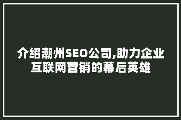 介绍潮州SEO公司,助力企业互联网营销的幕后英雄