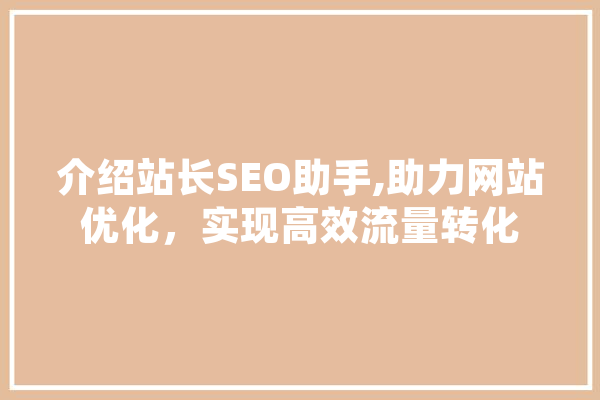 介绍站长SEO助手,助力网站优化，实现高效流量转化 AI快讯