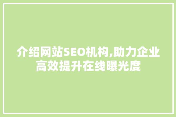 介绍网站SEO机构,助力企业高效提升在线曝光度