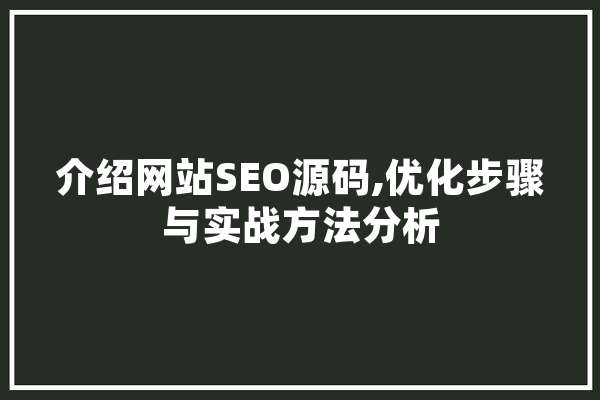 介绍网站SEO源码,优化步骤与实战方法分析 云服务