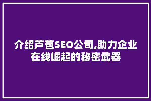 介绍芦苞SEO公司,助力企业在线崛起的秘密武器 绘影字幕