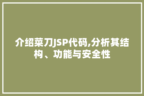 介绍菜刀JSP代码,分析其结构、功能与安全性 智能问答
