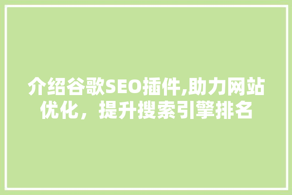 介绍谷歌SEO插件,助力网站优化，提升搜索引擎排名
