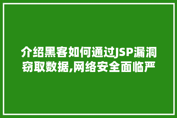 介绍黑客如何通过JSP漏洞窃取数据,网络安全面临严峻挑战