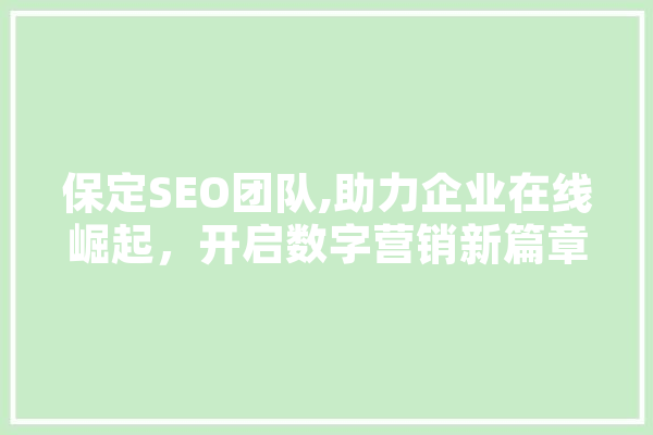 保定SEO团队,助力企业在线崛起，开启数字营销新篇章