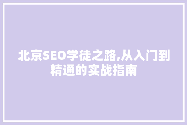 北京SEO学徒之路,从入门到精通的实战指南