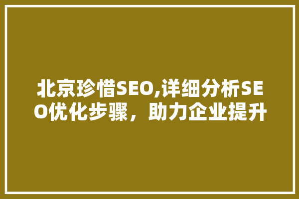 北京珍惜SEO,详细分析SEO优化步骤，助力企业提升在线竞争力 计算机