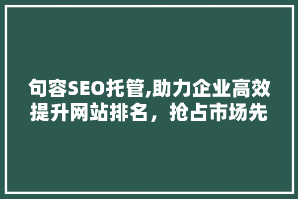 句容SEO托管,助力企业高效提升网站排名，抢占市场先机