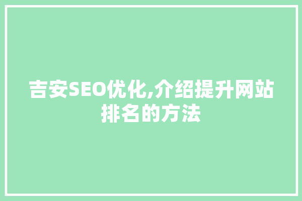 吉安SEO优化,介绍提升网站排名的方法 绘影字幕