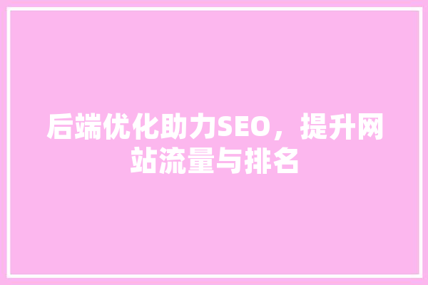 后端优化助力SEO，提升网站流量与排名 文字写作