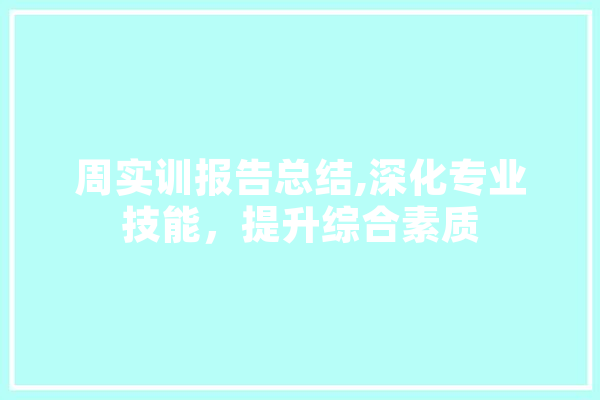 周实训报告总结,深化专业技能，提升综合素质 绘影字幕