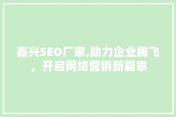 嘉兴SEO厂家,助力企业腾飞，开启网络营销新篇章