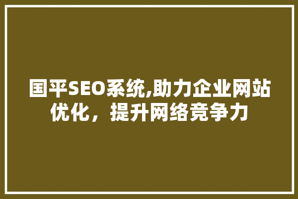 国平SEO系统,助力企业网站优化，提升网络竞争力
