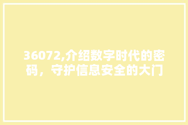 36072,介绍数字时代的密码，守护信息安全的大门 云服务