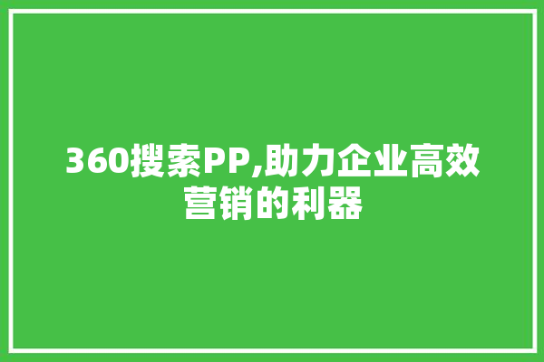 360搜索PP,助力企业高效营销的利器 绘影字幕