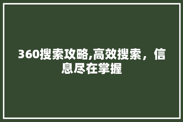 360搜索攻略,高效搜索，信息尽在掌握
