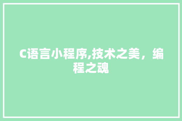 C语言小程序,技术之美，编程之魂 智能问答