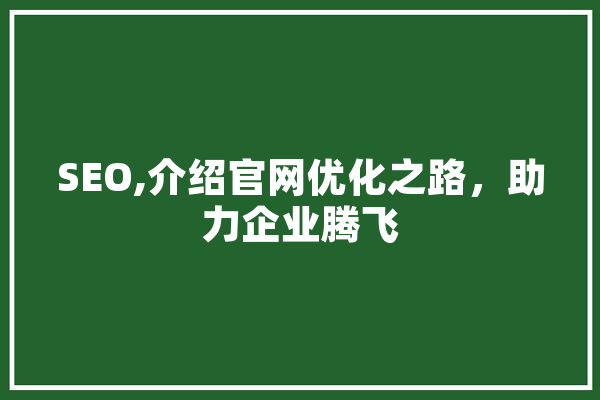 SEO,介绍官网优化之路，助力企业腾飞 智能写作