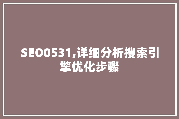 SEO0531,详细分析搜索引擎优化步骤 云服务