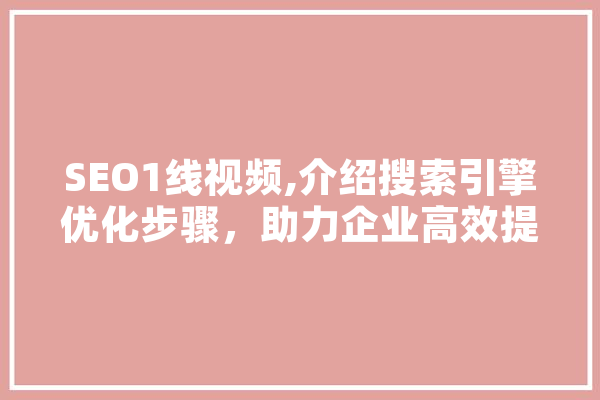 SEO1线视频,介绍搜索引擎优化步骤，助力企业高效提升品牌影响力