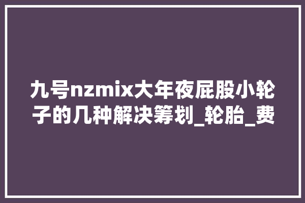 九号nzmix大年夜屁股小轮子的几种解决筹划_轮胎_费用