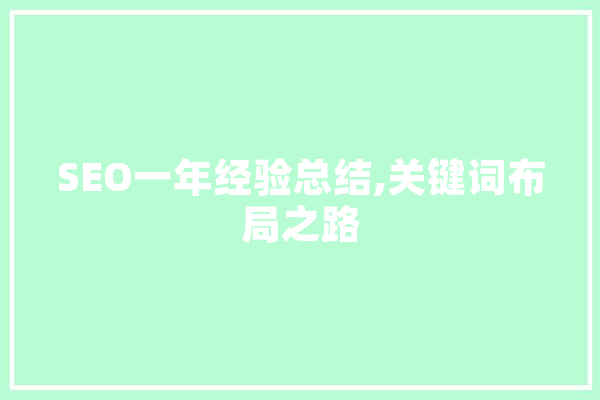 SEO一年经验总结,关键词布局之路 云服务