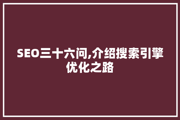 SEO三十六问,介绍搜索引擎优化之路